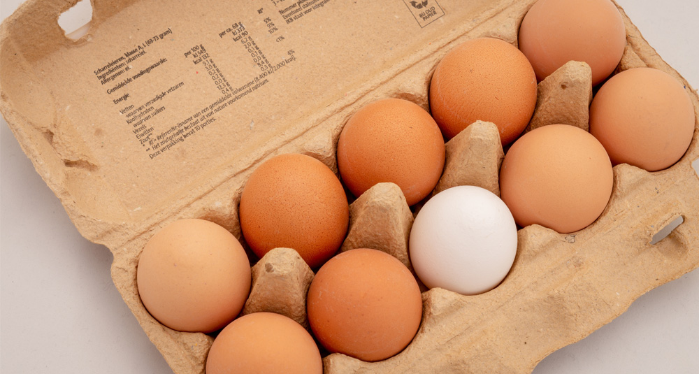 Ten eggs in egg carton for 10 copywriting tips